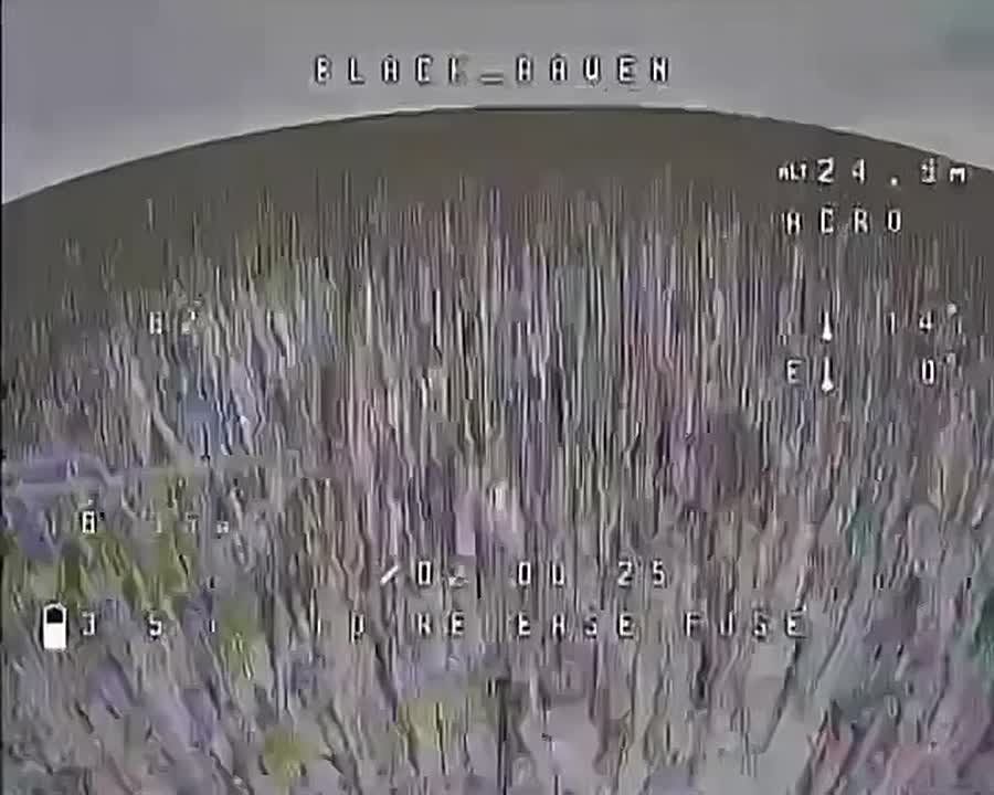 Вероятность нападения оленя на FPV-дрон крайне мала, но никогда не равна нулю