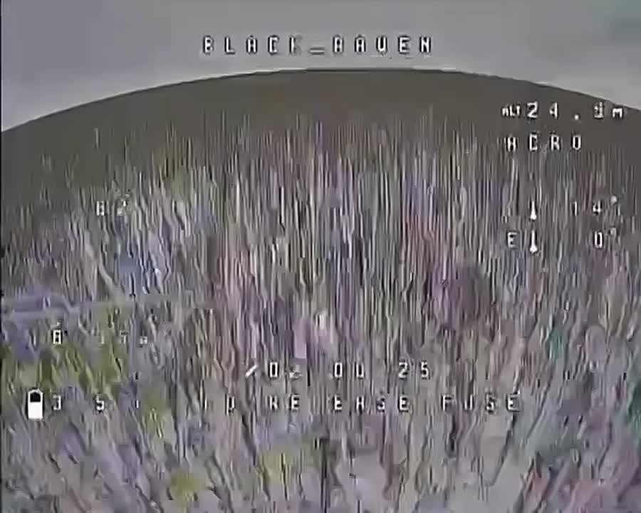 Вероятность нападения оленя на FPV-дрон крайне мала, но никогда не равна нулю