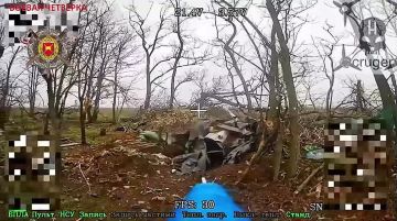 ������� ���� ��� � ����������� �������