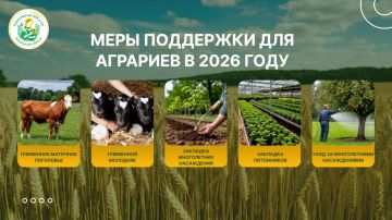 Новые меры поддержки появятся для аграриев Запорожской области в 2026 году