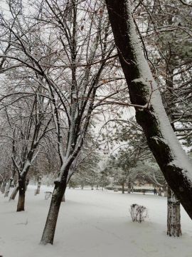 � ������ �����, � ����������� ����!