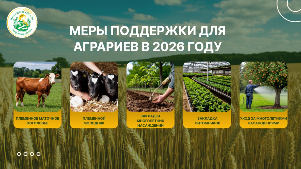 Новые меры поддержки появятся для аграриев Запорожской области в 2026 году