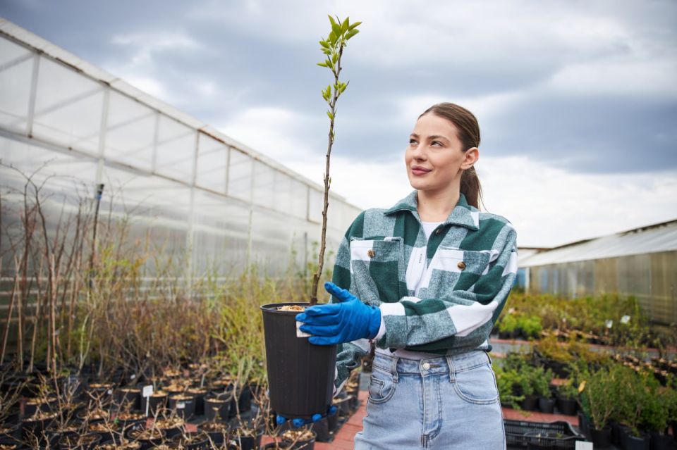 � ����������� ������� � ��������� 2025 ���� ��������� ����� 1 ��� �������