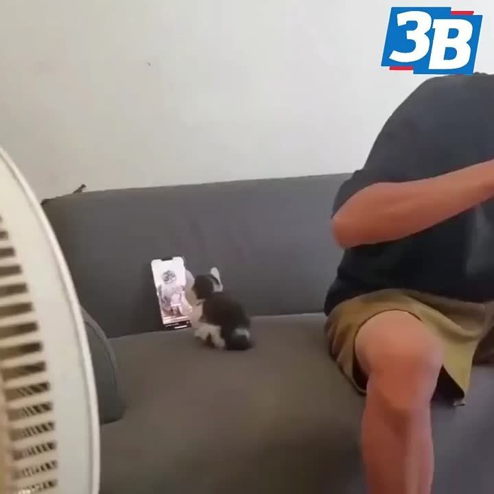 �� �������-�� �������� �����