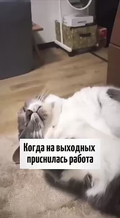 Вот и суббота. Выдыхаем — выходные продолжатся