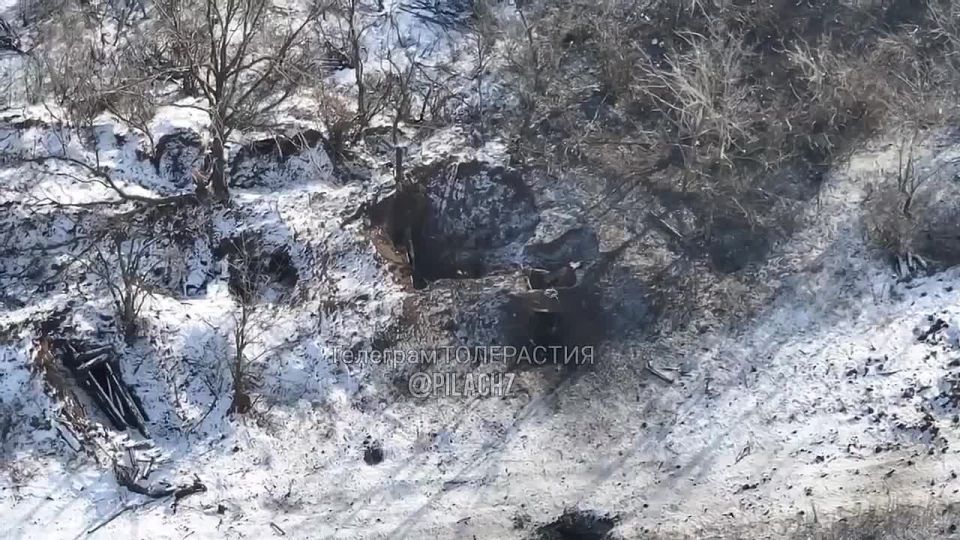 Xox�� ����� �������� �� ���� ����, ������� ���� ��� � ���� � �� �������� � ���, ��� �� ����� �����