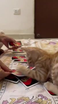 День пролетел незаметно. А как вы проводите последние праздничные вечера? Подписывайтесь на Запорожский вестник в MAX, Telegram и ВКонтакте и делитесь с близкими