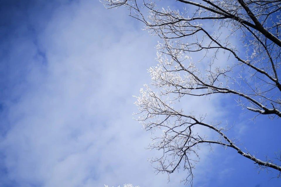 � ����������� ������� 11 ������ ������������ ������� ����, ������ � �������