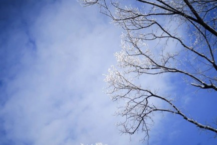 В Запорожской области 11 января прогнозируют сильный снег, метель и гололед