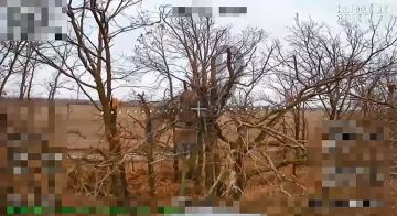 ����������� �����.. ������� fpv ����������� ������������ � ����� ������� ����� ��������� �� ����� ���� ������� � ������ ������ ���