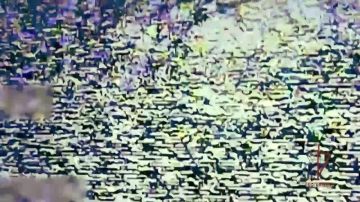 �������� ����������� ����������� ��������� ���������� ������������ ����� ���������� ���� ���������� �� ����������� �����������