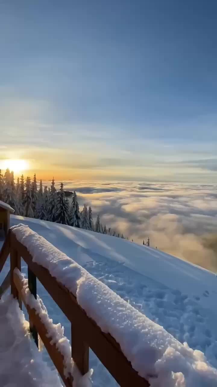 Доброй ночи! Завтра будет новый день и новые возможности!
