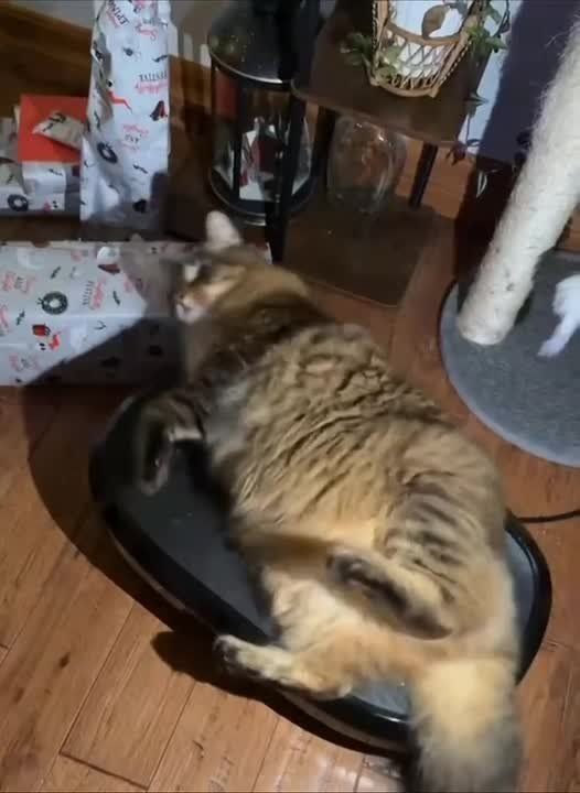 ��� � ����������� ��������