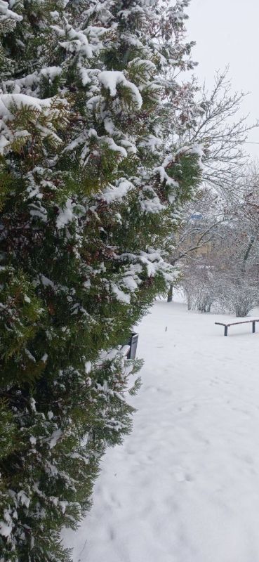 Пусть в момент, когда откроются глаза, откроются и пути к удаче, счастью и везению, и каждое мгновение этого утра сопровождается мощным позитивом, улучшая настроение в сотни раз, придавая сил, мотивации и желания покорить...