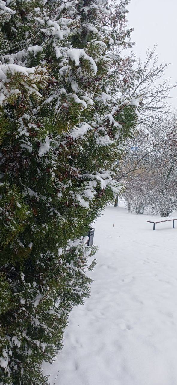 Пусть в момент, когда откроются глаза, откроются и пути к удаче, счастью и везению, и каждое мгновение этого утра сопровождается мощным позитивом, улучшая настроение в сотни раз, придавая сил, мотивации и желания покорить...