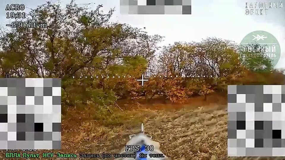 ������ ������������� FPV-����� � �������� ���������� � ��������� �������� �� ������� � �����������