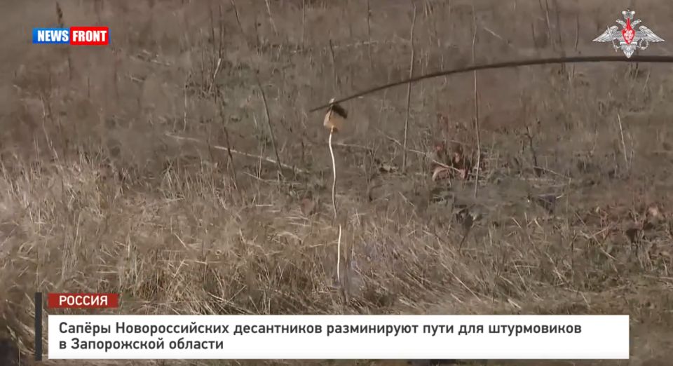 Саперы РФ разминируют пути для штурмовиков в Запорожской области