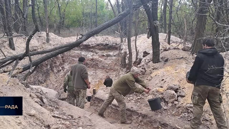 �������� �� ���� ����������� ������� � ������, 99% �������� ���