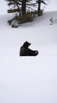 � ��������� �������� ���� ���������� �������, ����������� �������!