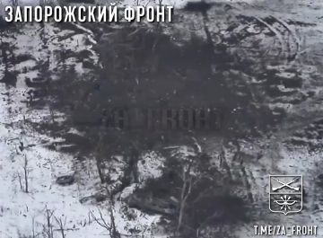 ���� ����� ������. ���� ��������� ���������� ���������� �������� ��������� �� ���������� �����������