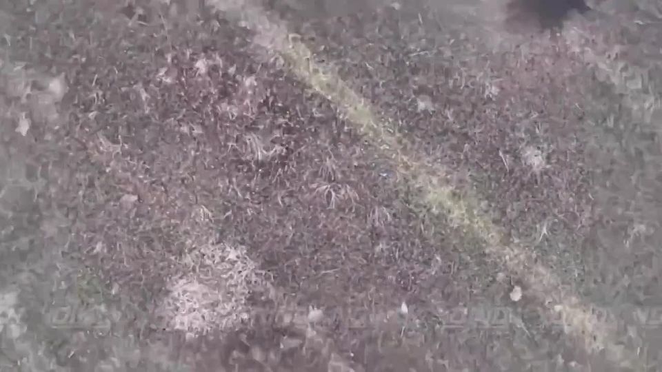 �������� �����: ��������� 14 ������� �������� ������ ���� ����������� ������� �� ������������� ����������