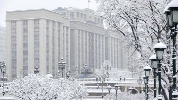 На совещании в Госдуме Володин обозначил приоритеты весенней сессии