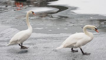 ��������� ������ ����������� �������������� ������!