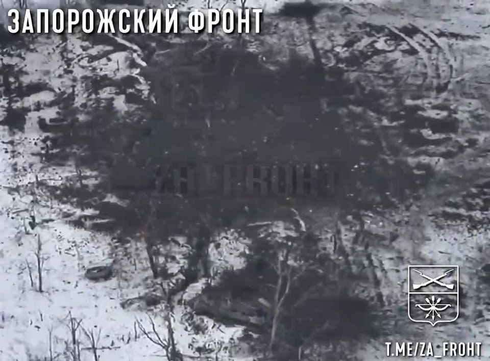 ���� ����� ������. ���� ��������� ���������� ���������� �������� ��������� �� ���������� �����������