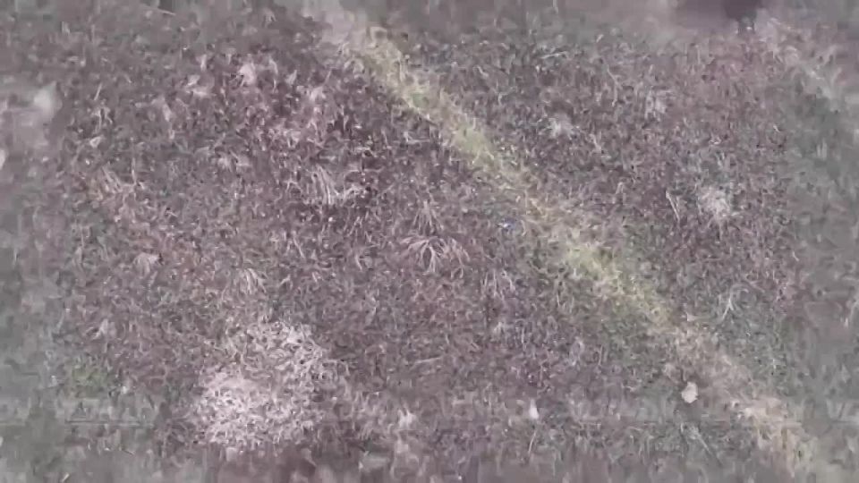 ��������� 14 ������� �������� ������ ���� ����������� ������� �� ������������� ����������