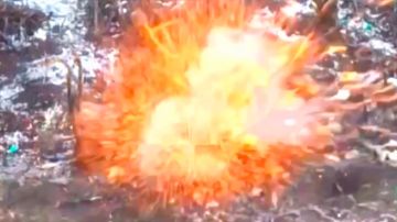 «Молнии» ударили по опорникам и живой силе ВСУ в Запорожской области