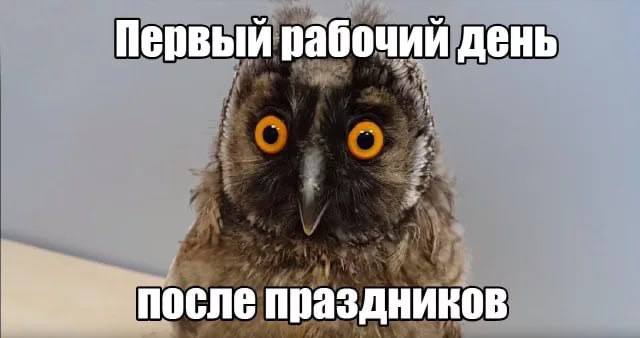 Доброе утро, дорогие наши!