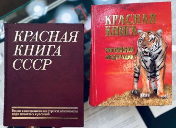 12 ������ � ���� ������� ����� ������!