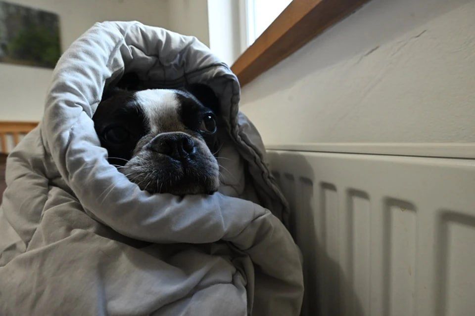 ������ ��������� �� ���������� ��������-������������ � ������������� �������