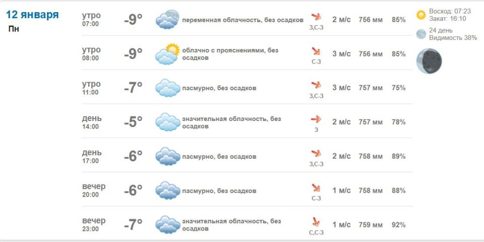 Подробно о погоде в Васильевке 12 января 2026 года