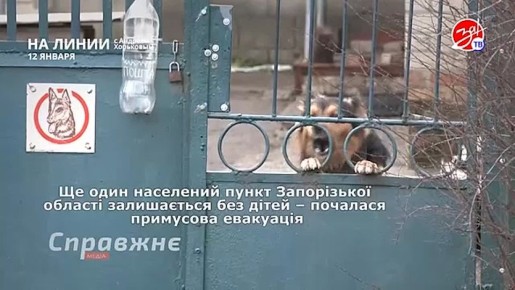 ���������� ���������� �� ������ ������ � ������� ��������� � ��������� ��� ����� | 12 ������