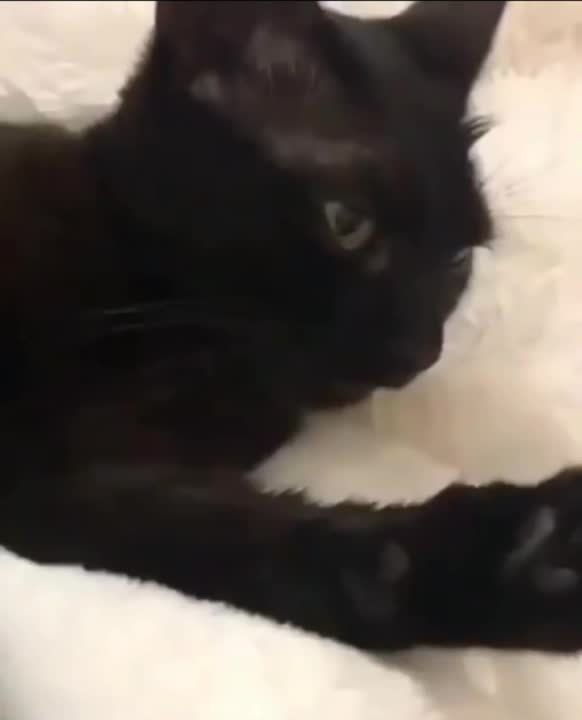 ���� ������������. ��, ����������, ������ ������� ������ � ���� ����