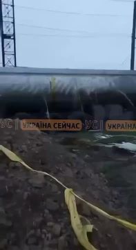 ����� �� ��������� ������-����� �����