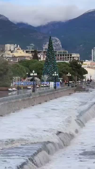 Страшная красота из Ялты. Россияне делятся завораживающими, но опасными фото и видео балканского циклона «Фрэнсис»