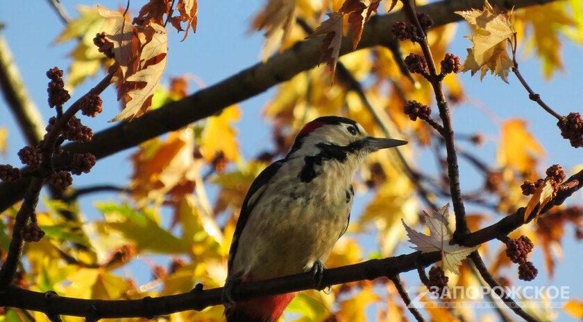 АСИ: экология станет ключевым фактором экономического роста Приазовья