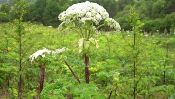 � 1 ����� 2026 ���� � ������ �������� � ���� ����� �������, ���������� ��������������� �� ��������� �������������������� ������