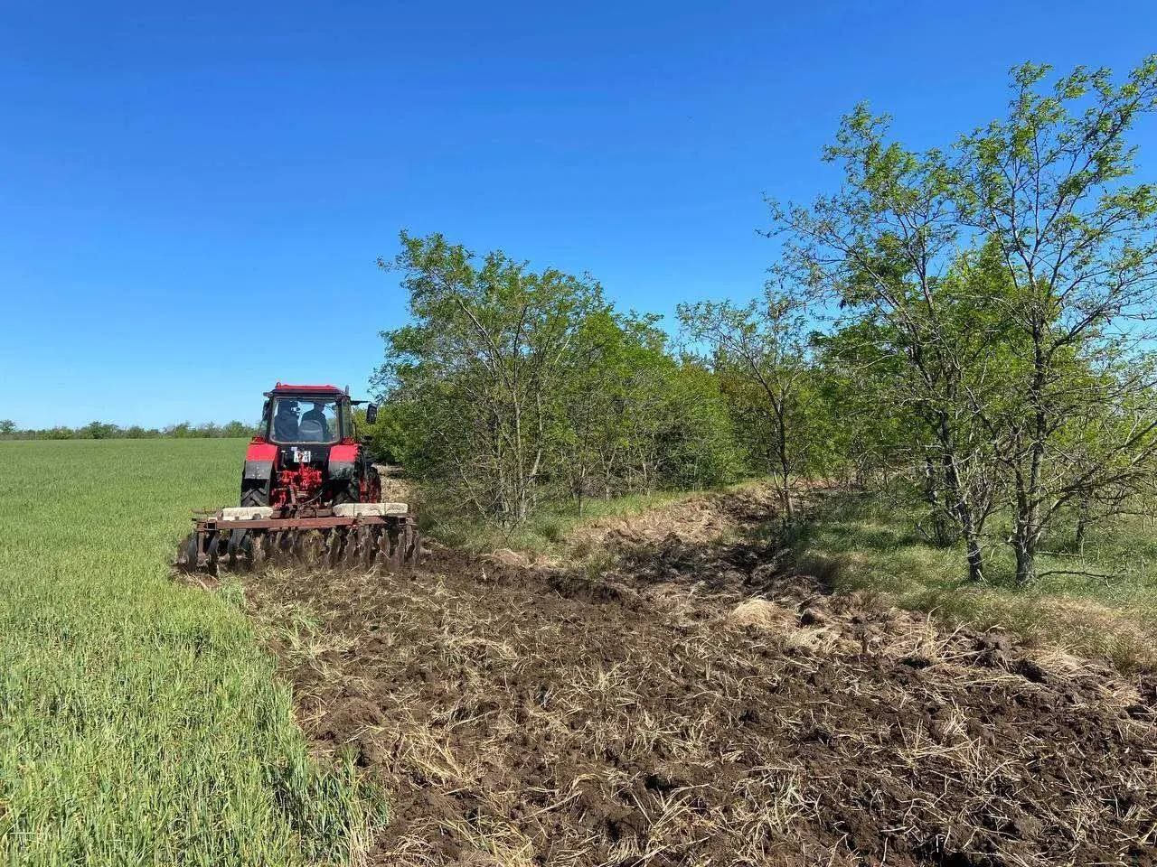 Итоги работы в сфере лесного хозяйства за 2025