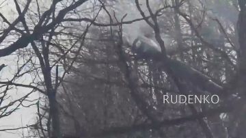 ������ �������: � ����������� ������� ���������������� ������ ���� ����� ����������� ������ ��������� ������������ ���� ��������������� ������� � �����������