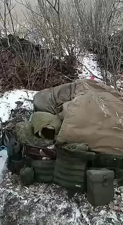 ������ ���� ��������, ����������� �������!