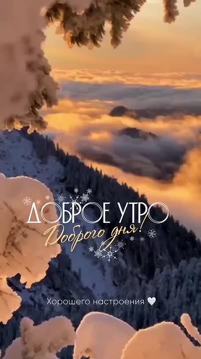 Доброго утра, дорогие мелитопольцы!!!