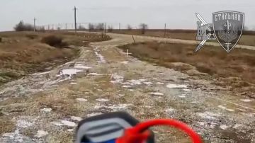 ������� ��������� ���������� �������� � ���������� ��������� 71-�� ������������ �����