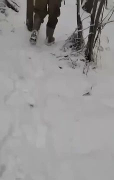 ������ ���� �����, ����������� �������!