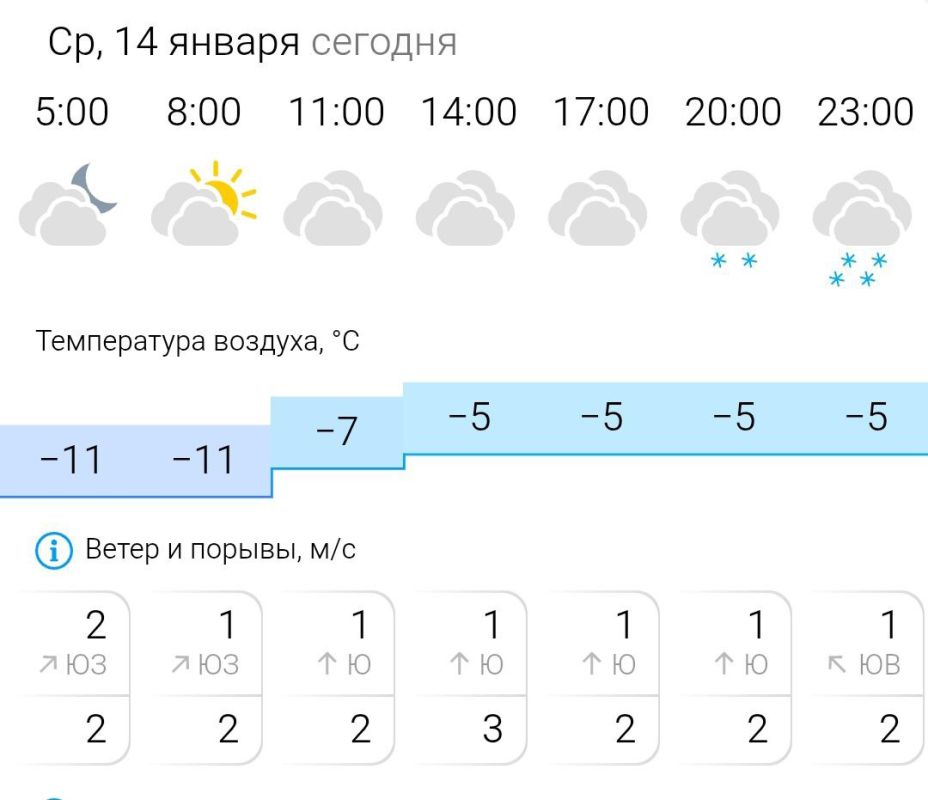 ПРОГНОЗ ПОГОДЫ. В среду, 14 января в Энергодаре пасмурно, вечером снег