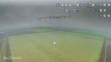 ������ ��������: ����� ����������� ����������� ���� ����������� ������� ������� ���� ��� � ����������� �������