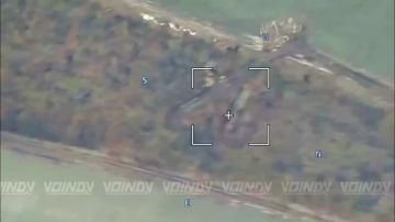 �������� �����: ����������� ����������� ���������� ���