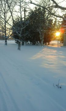 ��������� "�������, ����" �� ��������� ����-�������� "���������� ������" ��� ������� (�.������������)